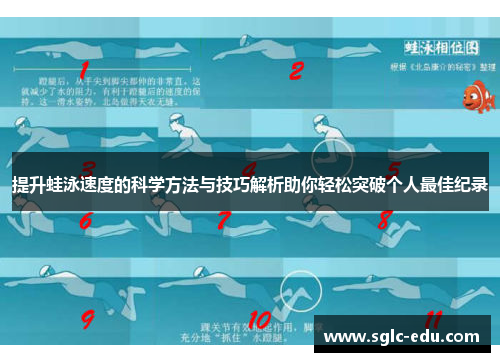 提升蛙泳速度的科学方法与技巧解析助你轻松突破个人最佳纪录